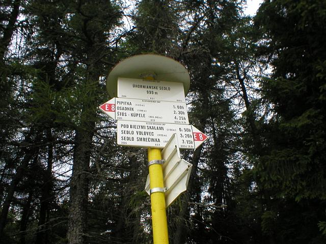 P1010050.JPG