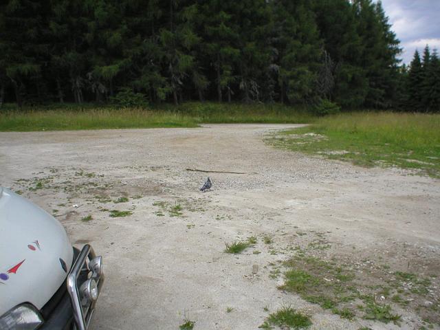 P1010066.JPG