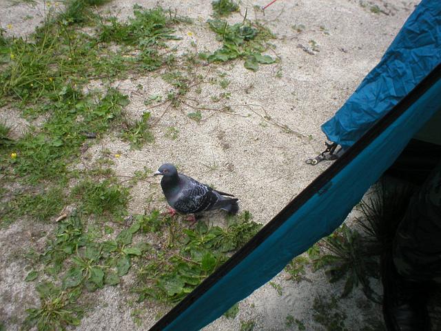 P1010083.JPG
