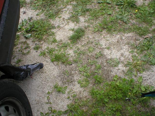 P1010084.JPG