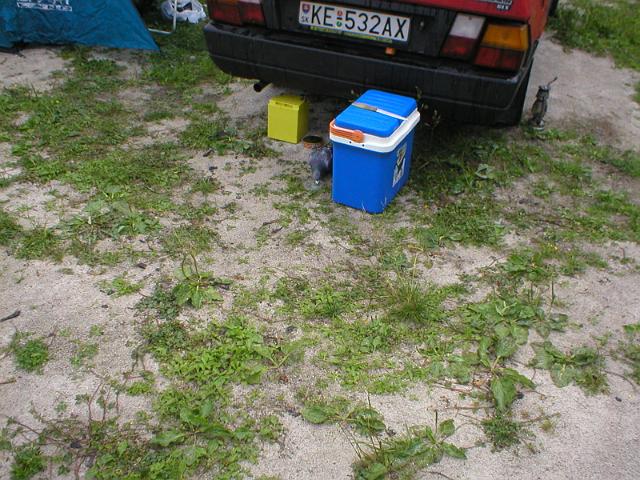 P1010085.JPG