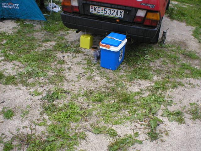 P1010086.JPG